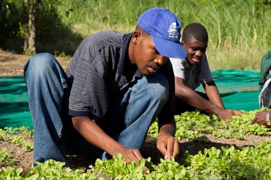 Cap-Haïtien :  94 jeunes à risques formés aux techniques agricoles