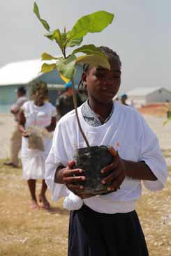 Journée Mondiale de l’Environnement : Les Volontaires des Nations Unies font germer l’espoir à l’école de Corail-Cesselesse