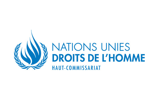 Statement by the UN High Commissioner for Human Rights Navi Pillay on Human Rights Day