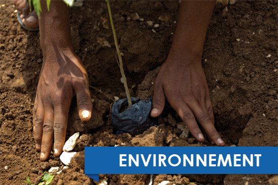 Les Nations Unies en Haïti - Bilan 2012 : Environnement