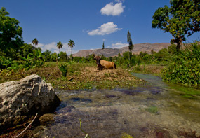 Saut d’Eau : Un haut-lieu de pèlerinage en Haïti