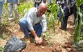 Haïti / JME : Le Chef de l’Etat plante des arbres dans un bassin versant réhabilité par la MINUSTAH