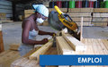 Les Nations Unies en Haïti – Bilan 2012 : l’emploi