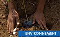 Les Nations Unies en Haïti – Bilan 2012 : l’environnement