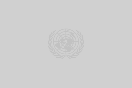United Nations logo
