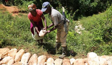 Two people placing a stone in a rock wall.